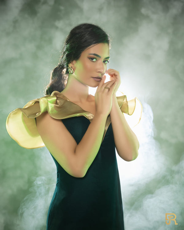 Black Dress with V golden neck